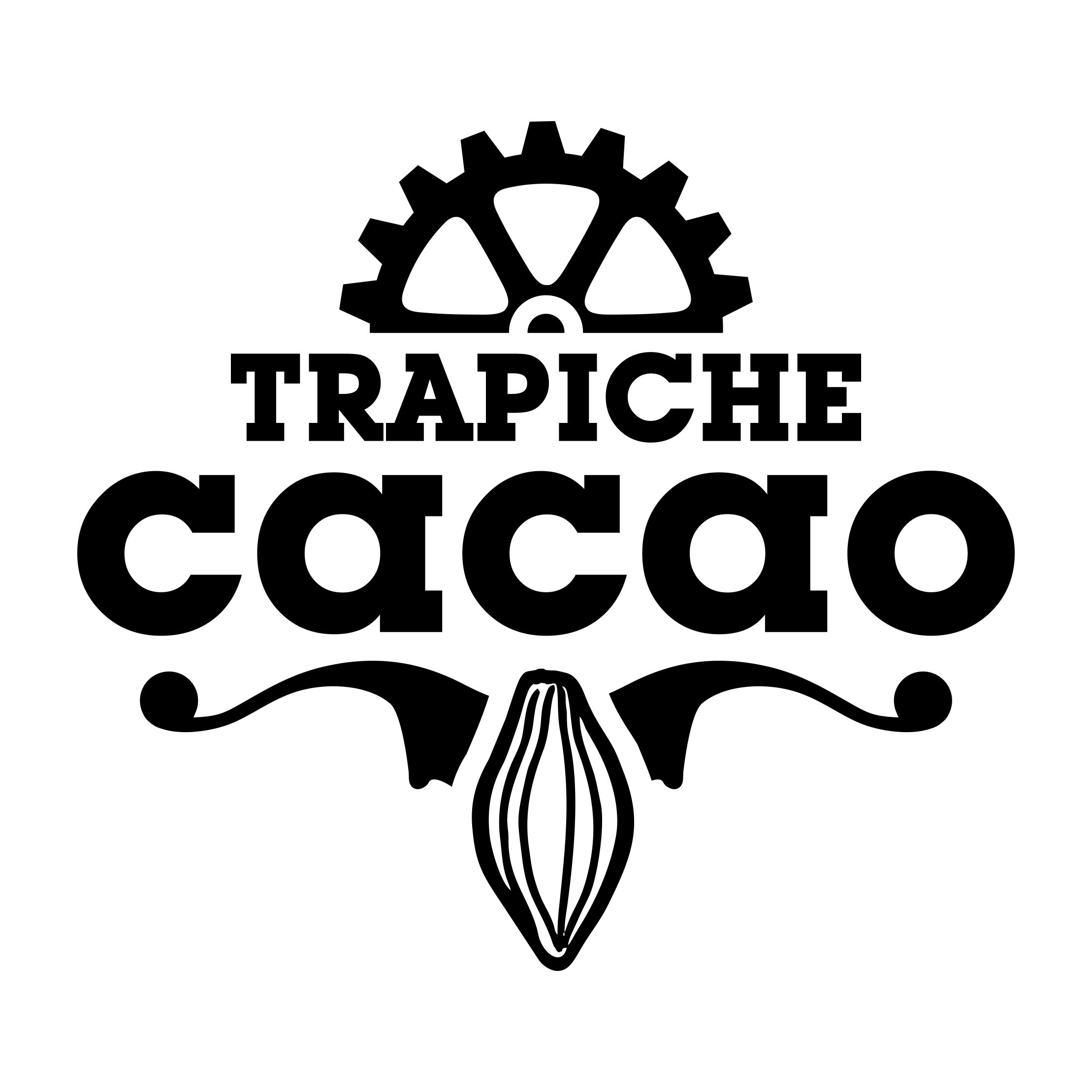 Trapiche Cacao